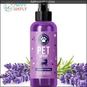 Lavender Oil Dog Deodorizing Spray