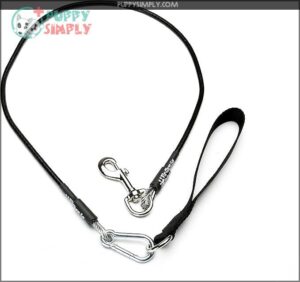Leash for Dogs, Large/4-Foot, Black B004HIM4WI