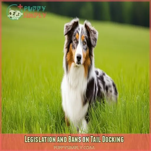 Legislation and Bans on Tail Docking Legislation and Bans on Tail Docking