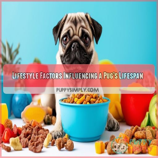 Lifestyle Factors Influencing a Pug’s Lifespan
