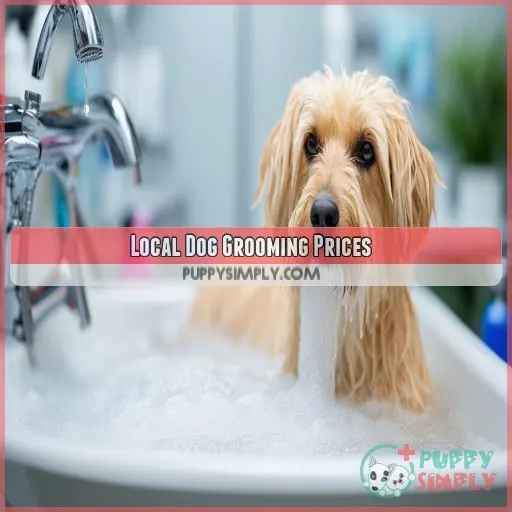 Local Dog Grooming Prices