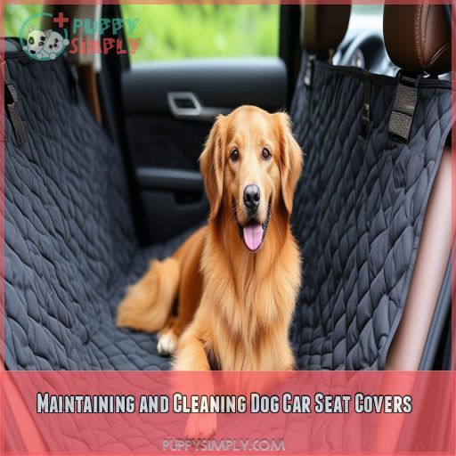 Maintaining and Cleaning Dog Car Seat Covers