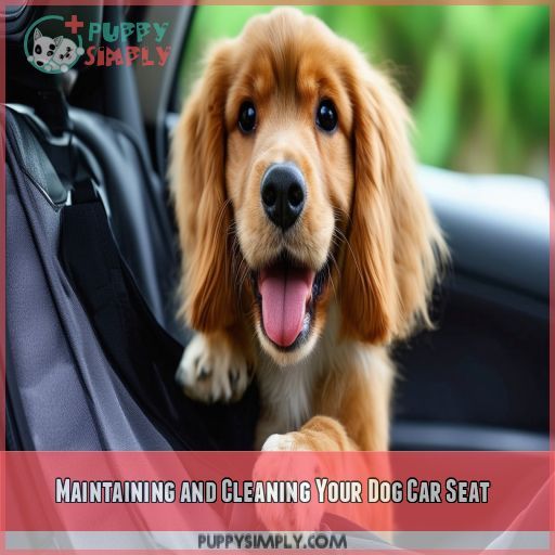 Maintaining and Cleaning Your Dog Car Seat