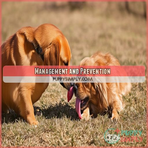 Management and Prevention