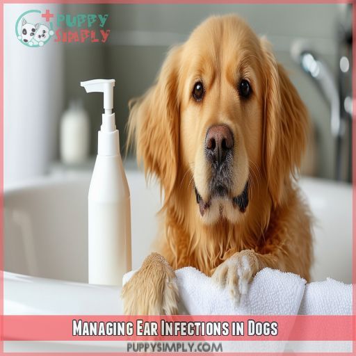 Managing Ear Infections in Dogs