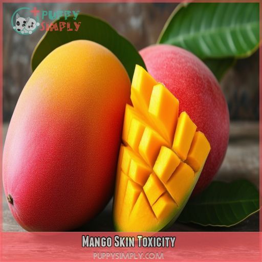 Mango Skin Toxicity