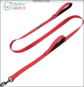 Max and Neo Double Handle B01F6MW4YG