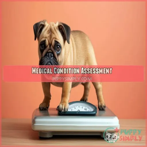 Medical Condition Assessment