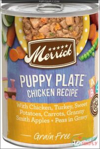 Merrick Grain Free Wet Puppy