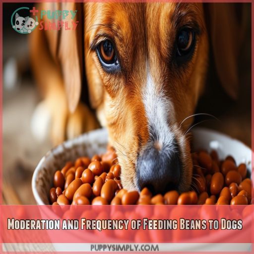 Moderation and Frequency of Feeding Beans to Dogs