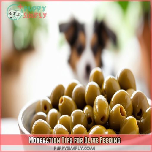 Moderation Tips for Olive Feeding