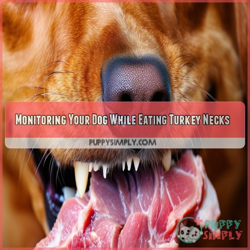Monitoring Your Dog While Eating Turkey Necks
