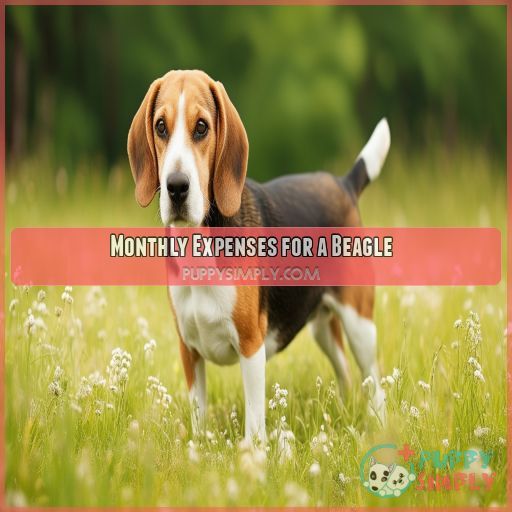 Monthly Expenses for a Beagle