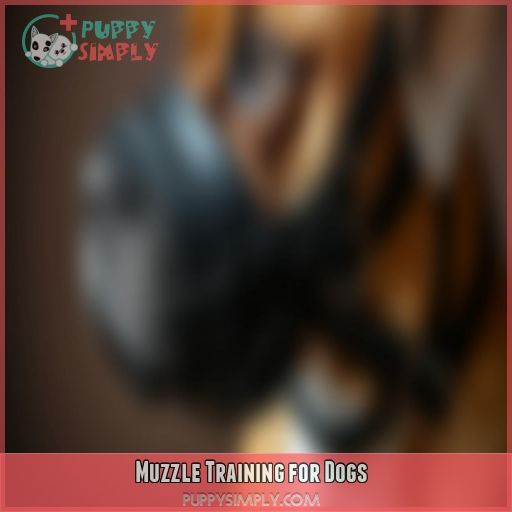 Muzzle Training for Dogs