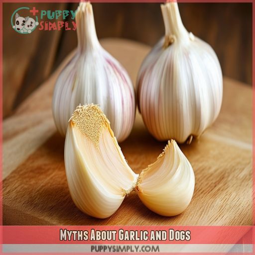 Myths About Garlic and Dogs