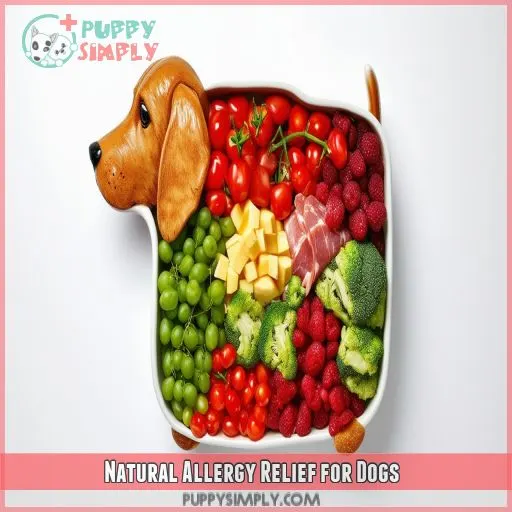 Natural Allergy Relief for Dogs