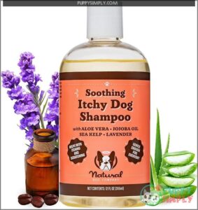 Natural Dog Company Itchy Dog