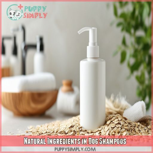 Natural Ingredients in Dog Shampoos