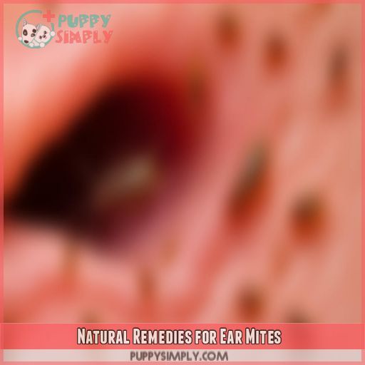 Natural Remedies for Ear Mites