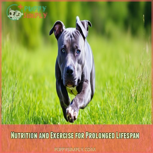 Nutrition and Exercise for Prolonged Lifespan