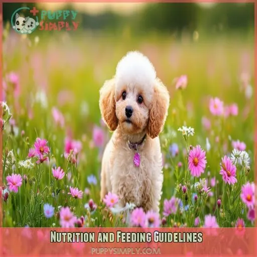 Nutrition and Feeding Guidelines