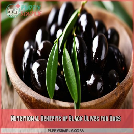 Nutritional Benefits of Black Olives for Dogs