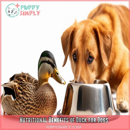 Nutritional Benefits of Duck for Dogs