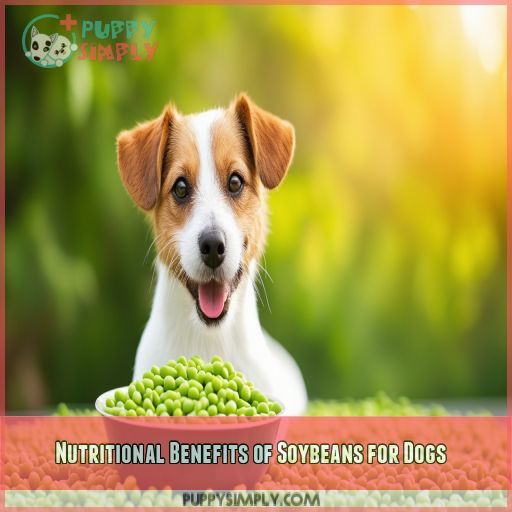 Nutritional Benefits of Soybeans for Dogs