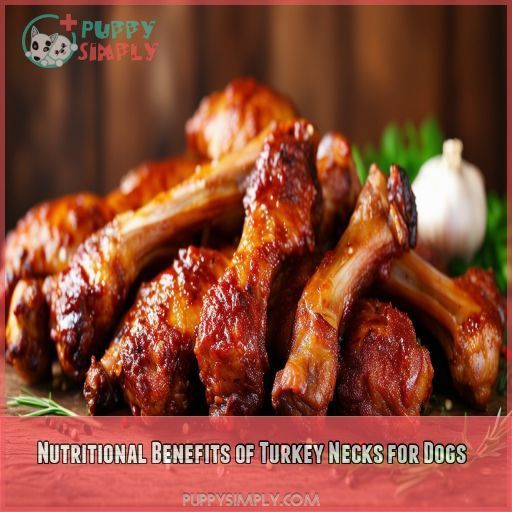 Nutritional Benefits of Turkey Necks for Dogs