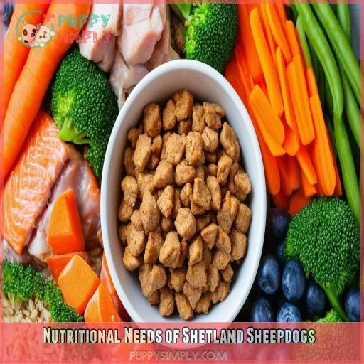 Nutritional Needs of Shetland Sheepdogs