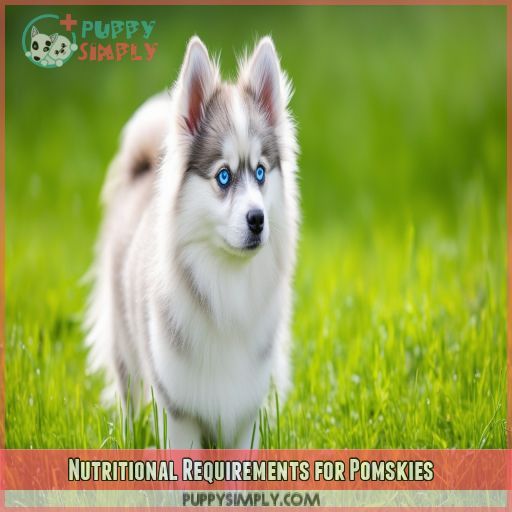 Nutritional Requirements for Pomskies