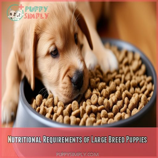 Nutritional Requirements of Large Breed Puppies