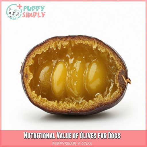 Nutritional Value of Olives for Dogs