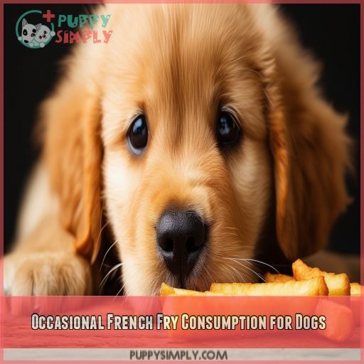 Occasional French Fry Consumption for Dogs