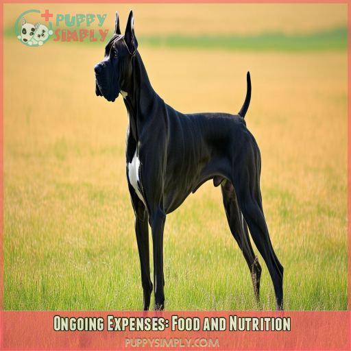 Ongoing Expenses: Food and Nutrition