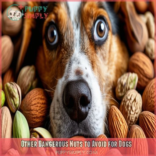 Other Dangerous Nuts to Avoid for Dogs