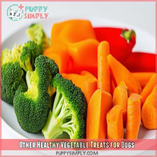 Other Healthy Vegetable Treats for Dogs