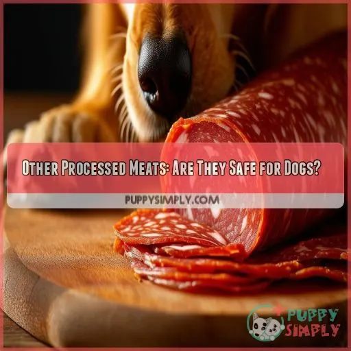 Other Processed Meats: Are They Safe for Dogs