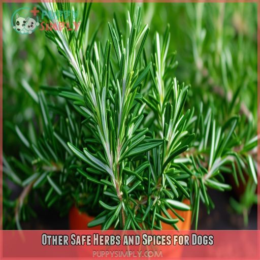 Other Safe Herbs and Spices for Dogs