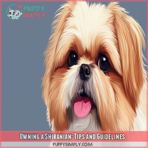 Owning a Shiranian: Tips and Guidelines