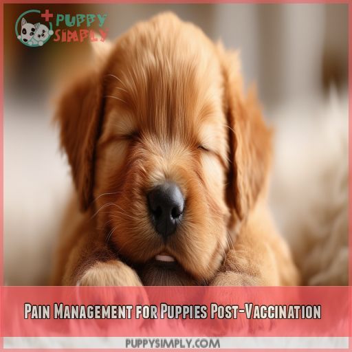 Pain Management for Puppies Post-Vaccination