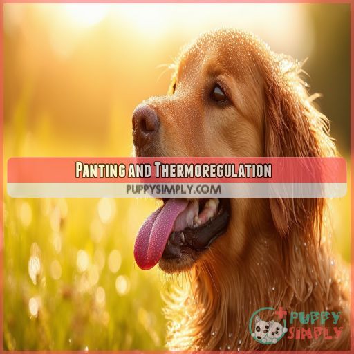 Panting and Thermoregulation