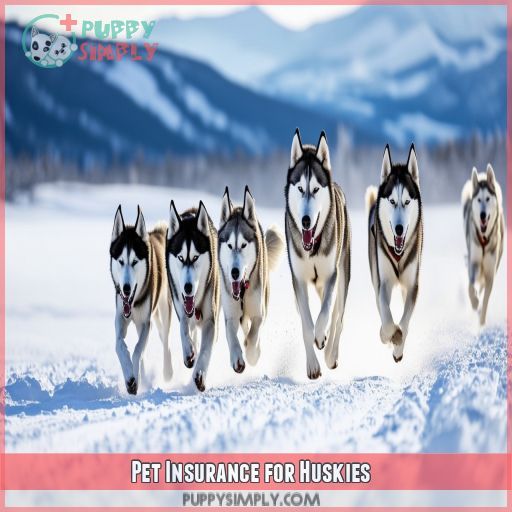 Pet Insurance for Huskies