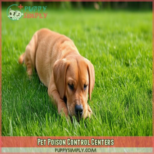 Pet Poison Control Centers