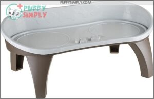 PETMAKER Elevated Pet Feeding Tray B06XNP1TL5