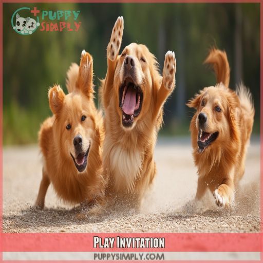 Play Invitation