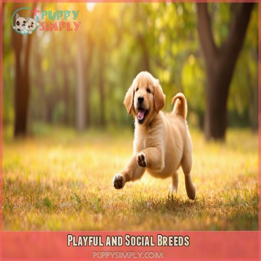 Playful and Social Breeds