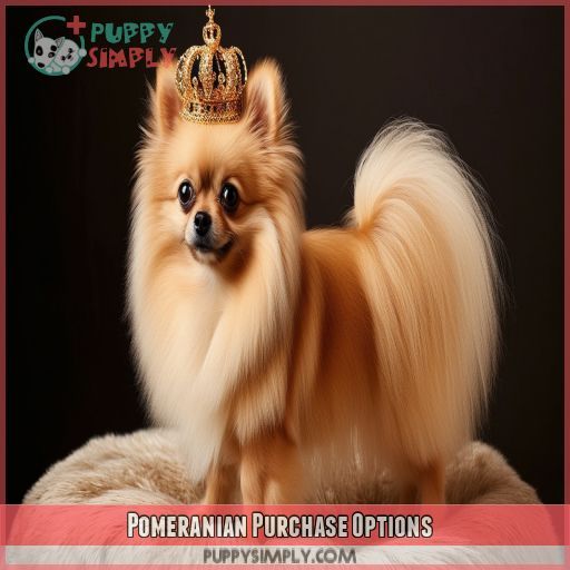 Pomeranian Purchase Options