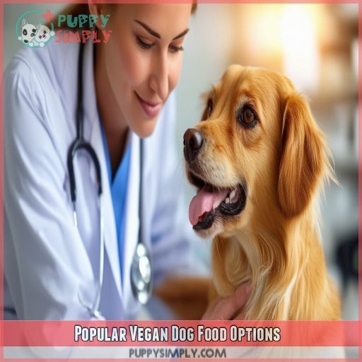 Popular Vegan Dog Food Options Popular Vegan Dog Food Options