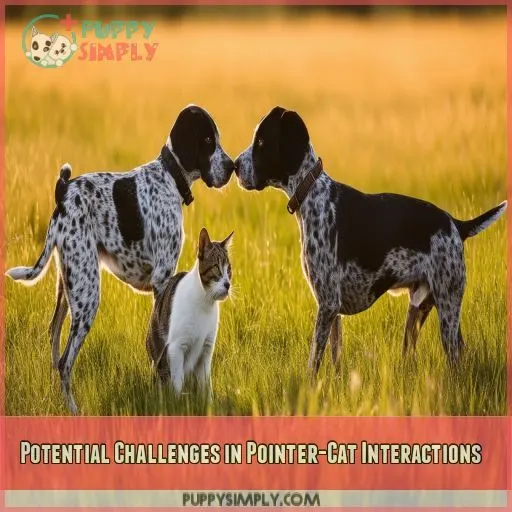 Potential Challenges in Pointer-Cat Interactions